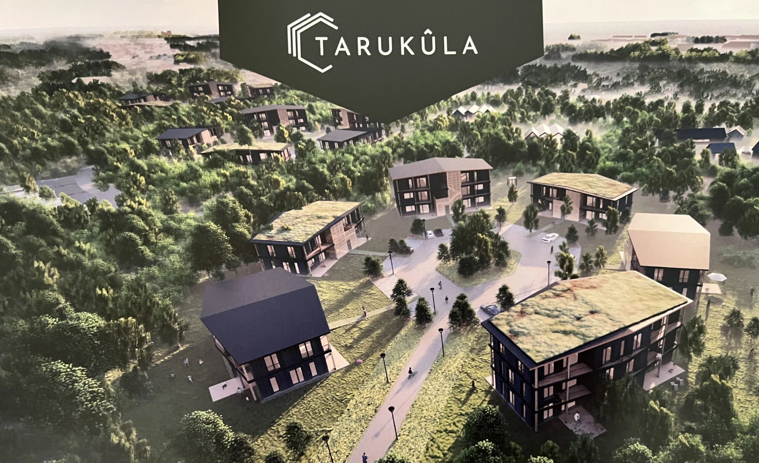 KLM Projekt — teede ja trasside projekteerimine